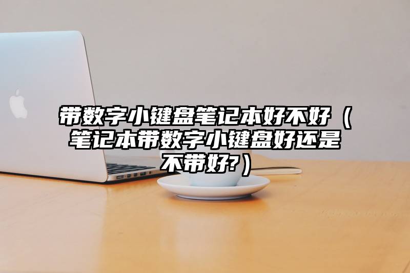 带数字小键盘笔记本好不好（笔记本带数字小键盘好还是不带好?）